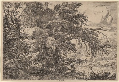 Domek na wzgórzu autorstwa Jacob van Ruisdael