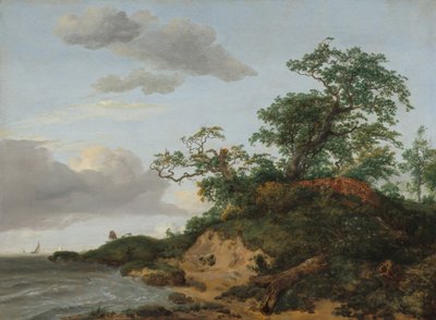 Wydmy nad morzem autorstwa Jacob van Ruisdael