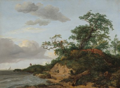 Wydmy nad morzem, 1648. autorstwa Jacob van Ruisdael