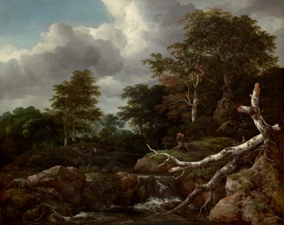 Scena leśna autorstwa Jacob van Ruisdael