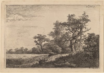 Pole Zboża na Skraju Lasu (Pole Kukurydzy) autorstwa Jacob van Ruisdael