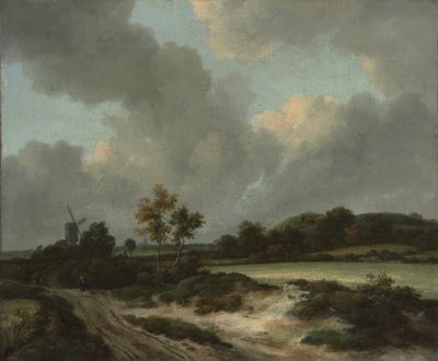 Pola zbożowe, połowa lub koniec lat 60. XVI wieku. autorstwa Jacob van Ruisdael