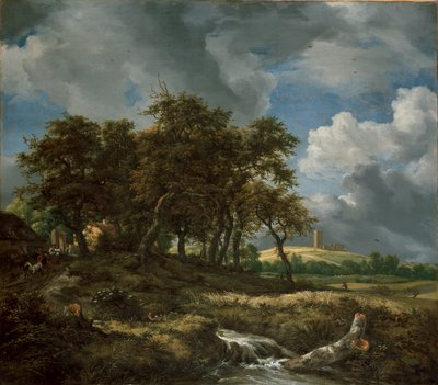 Krajobraz w pobliżu Muiderberg, początek lat 50. XVI wieku autorstwa Jacob van Ruisdael