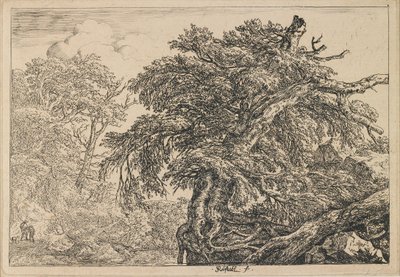  autorstwa Jacob van Ruisdael