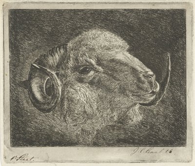 Głowa barana z rogami odwrócona autorstwa Jacobus Cornelis Gaal (signed by artist)
