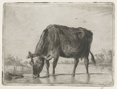 pijąca krowa autorstwa Jacobus Cornelis Gaal