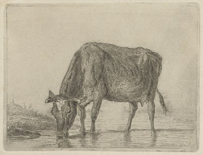 pijąca krowa autorstwa Jacobus Cornelis Gaal