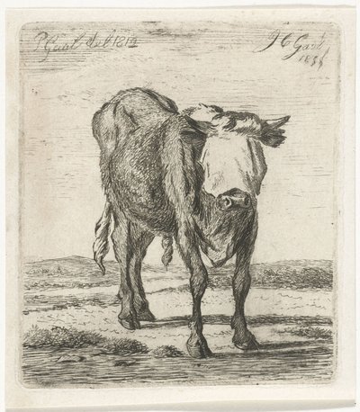 Byk z zawiązanymi oczami autorstwa Jacobus Cornelis Gaal