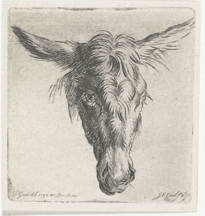 Głowa osła autorstwa Jacobus Cornelis Gaal