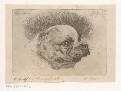 Głowa mopsa autorstwa Jacobus Cornelis Gaal