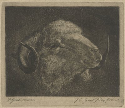Głowa barana z rogami odwrócona autorstwa Jacobus Cornelis Gaal