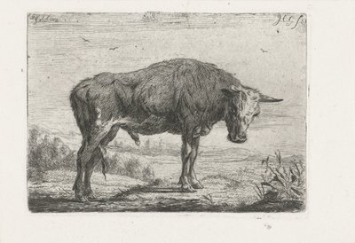 stojący byk autorstwa Jacobus Cornelis Gaal
