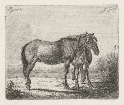 Dwa konie autorstwa Jacobus Cornelis Gaal