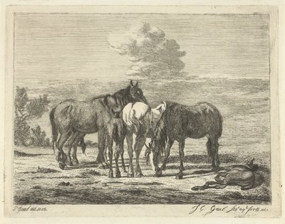 Cztery konie i dwa źrebaki autorstwa Jacobus Cornelis Gaal