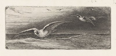 mewy autorstwa Jacobus Hermanus Otterbeek
