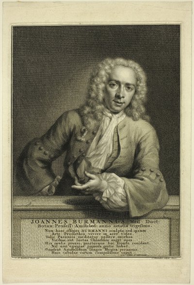 J. Burmannus autorstwa Jacobus Houbraken
