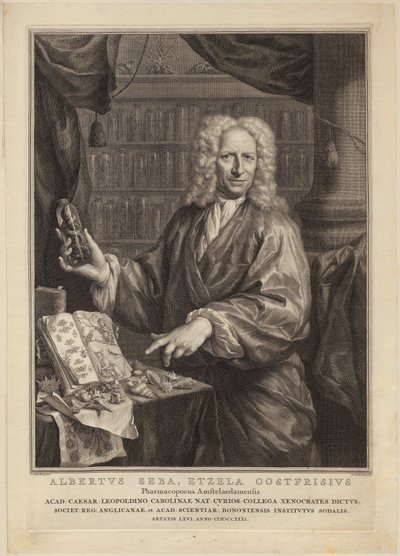  autorstwa Jacobus Houbraken