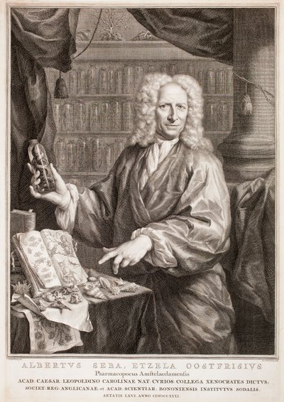  autorstwa Jacobus Houbraken
