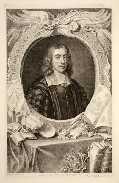 Portret doktora medycyny Thomasa Willisa, ilustracja z „Heads of Illustrious Persons of Great Britain”, wyd. autor: Knapton, Londyn 1742 autorstwa Jacobus Houbraken