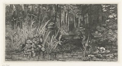 Bosbeekje autorstwa Jacobus Ludovicus Cornet