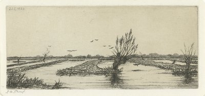 torfowisko autorstwa Jacobus Ludovicus Cornet