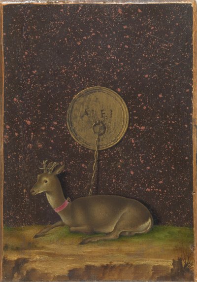 Portret Alvise Contariniego(); (verso) Roebuck na uwięzi autorstwa Jacometto Veneziano