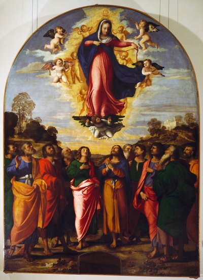 Wniebowzięcie Dziewicy autorstwa Jacopo (c.1480 1528) Palma