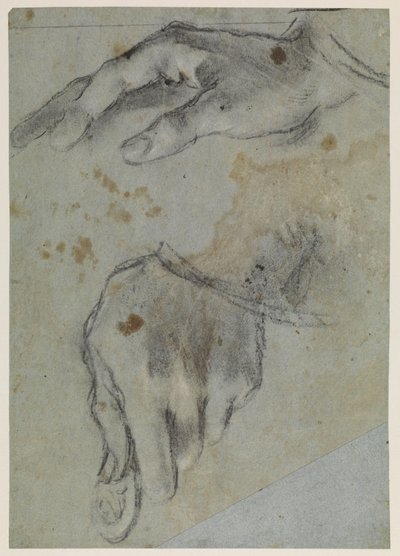 Studia rąk, recto, XVI w. autorstwa Jacopo Bassano