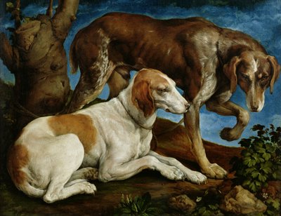 Dwa psy myśliwskie przywiązane do pnia drzewa, ok. 1548-50 autorstwa Jacopo Bassano