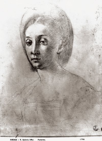 Głowa kobiety (kreda na papierze) autorstwa Jacopo Pontormo