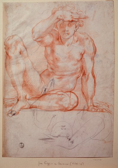Nagi mężczyzna - Rysunek autorstwa Jacopo Pontormo