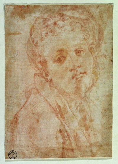 Autoportret (czerwona kreda na papierze) autorstwa Jacopo Pontormo
