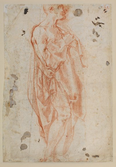 Studium dla św. Hieronima autorstwa Jacopo Pontormo