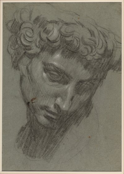 Portret Giuliano de’ Medici, wg Michała Anioła (recto) (czarno-biała kreda na niebieskim papierze) autorstwa Jacopo Robusti (workshop of) Tintoretto