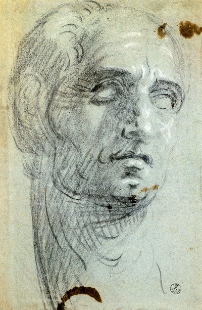 Męska głowa autorstwa Jacopo Robustiego znanego jako Tintoretto (1518-1594), rysunek autorstwa Jacopo Robusti Tintoretto
