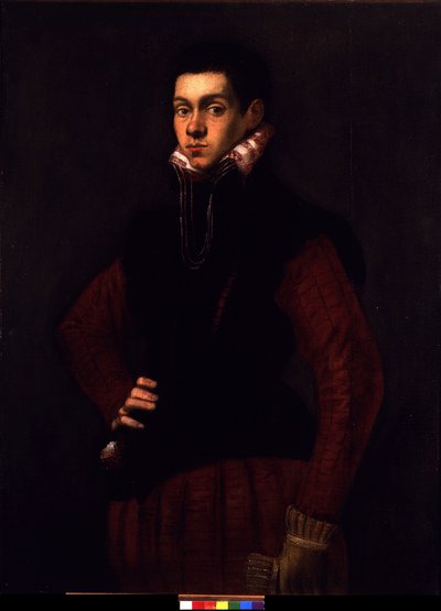 Portret młodego mężczyzny, ok. 1565 (olej na płótnie) autorstwa Jacopo Robusti Tintoretto