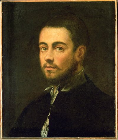 Młody mężczyzna z brodą ... (olej na płótnie) autorstwa Jacopo Robusti Tintoretto