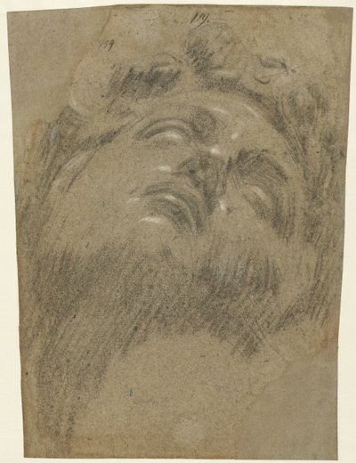 Hoofd van Giuliano dei Medici autorstwa Jacopo Tintoretto