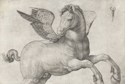 Pegaz, 1509-16 autorstwa Jacopo de Barbari