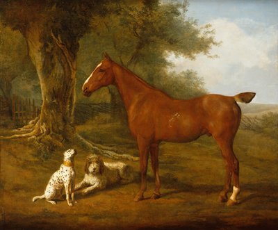 Łowca kasztanów z Briardem i dalmatyńczykiem (olej) autorstwa Jacques Laurent Agasse