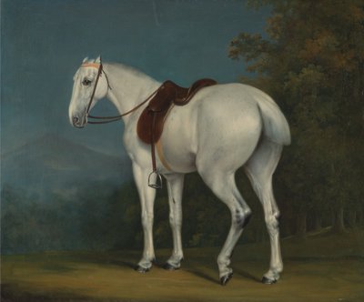 Szary Łowca Damy autorstwa Jacques-Laurent Agasse
