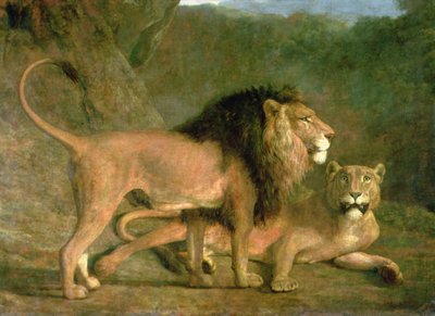 Lew i lwica w Skalistej Dolinie (olej na płótnie) autorstwa Jacques Laurent Agasse