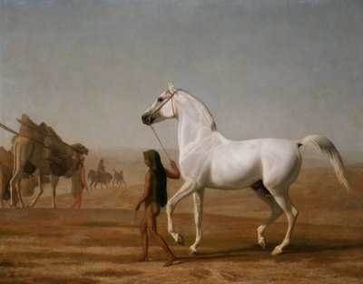 Wellesley Grey Arabian prowadził przez pustynię autorstwa Jacques-Laurent Agasse