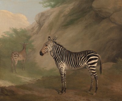 Полировка зебры autorstwa Jacques-Laurent Agasse