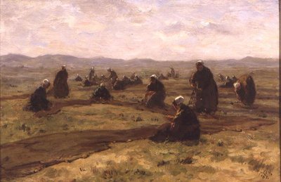 Siatki reperujące (olej na panelu) autorstwa Jacques Abraham Zon