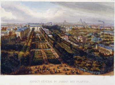 Widok na Jardin des Plantes - litografia Testard autorstwa Jacques Alphonse (after) Testard