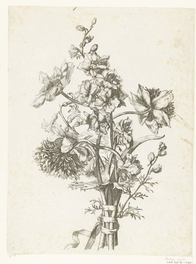 Bukiet z zawilcami, hiacyntem i delfinami Diverse Fleurs mises en Boucquets (tytuł serii) autorstwa Jacques Bailly (I)