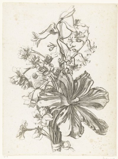 Bukiet z tulipanem, hiacyntem, brodiajami i żonkilami Diverse Fleurs mises en Boucquets (tytuł serii) autorstwa Jacques Bailly (I)