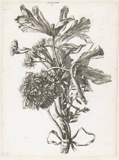 Bukiet z wyblakłych tulipanów, zawilca i nieśmiertelnika Diverse Fleurs mises en Boucquets (tytuł serii) autorstwa Jacques Bailly (I)