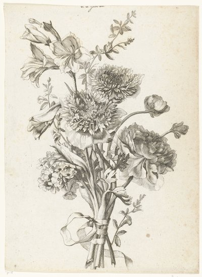Bukiet Zawilców Bukiet z zawilcami, piwonią, kwiatami łodyg i mieczyk Diverse Fleurs mises en Boucquets (tytuł serii) autorstwa Jacques Bailly (I)